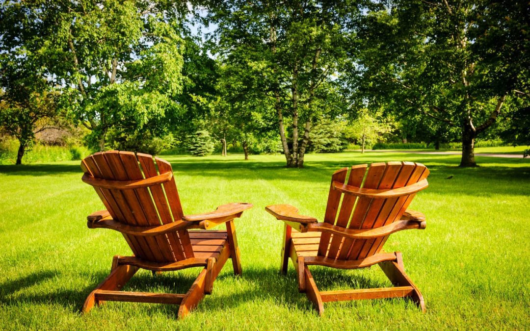5 Signs That a Tree Should Be Removed From Your Property
