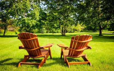 5 Signs That a Tree Should Be Removed From Your Property